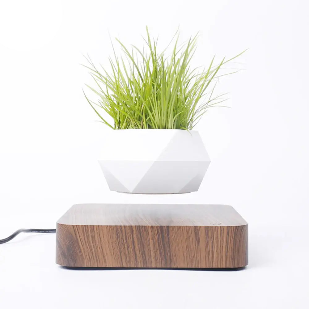 Potted Plant Home Desk Decor