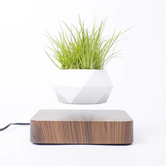 Potted Plant Home Desk Decor